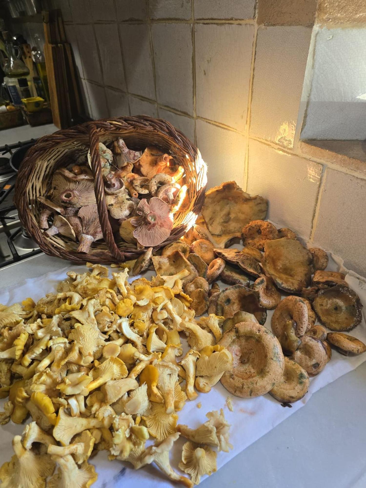 El Raco Dels Mussols 1 Canet de Adri